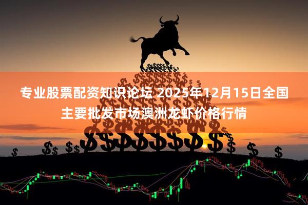 专业股票配资知识论坛 2025年12月15日全国主要批发市场澳洲龙虾价格行情